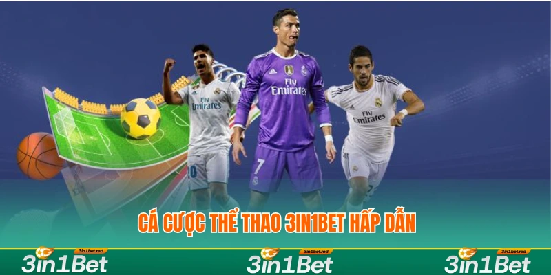 Cá cược thể thao 3iIN1BET hấp dẫn