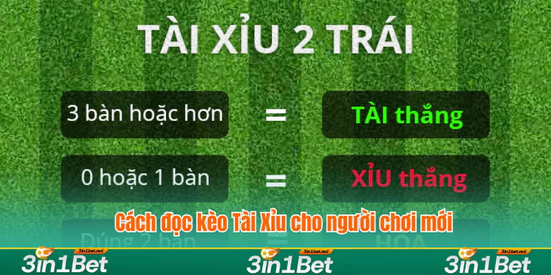 Hướng dẫn đọc kèo Tài Xỉu dễ dàng cho người chơi mới
