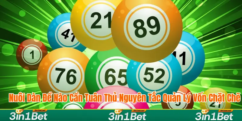 Lưu ý khi nuôi dàn đề