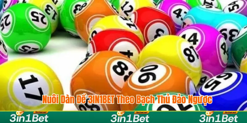 Nuôi theo bạch thủ đảo ngược