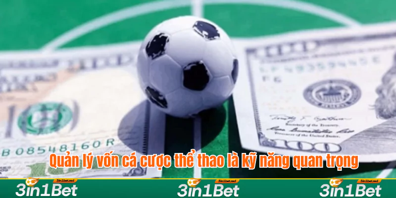 Quản lý vốn cá cược thể thao là kỹ năng quan trọng