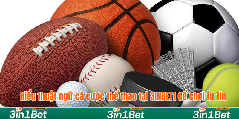 Hiểu thuật ngữ cá cược thể thao tại 3INBET1 để chơi tự tin