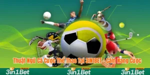 Thuật Ngữ Cá Cược Thể Thao Tại 3IN1BET - Cẩm Nang Cược
